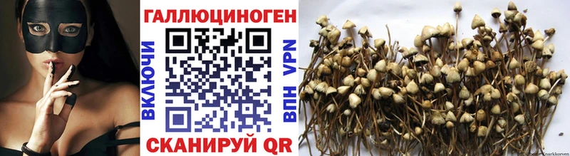Галлюциногенные грибы GOLDEN TEACHER  наркота  Ленск 